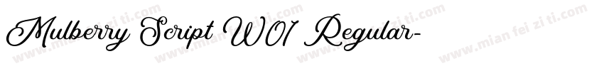Mulberry Script W01 Regular字体转换